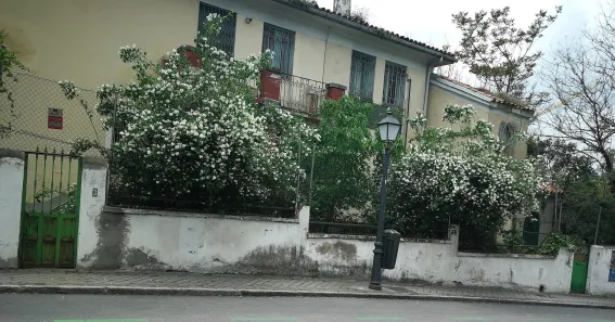 Velintonia, la casa de Vicente Aleixandre
