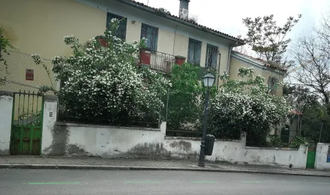Velintonia, la casa de Vicente Aleixandre